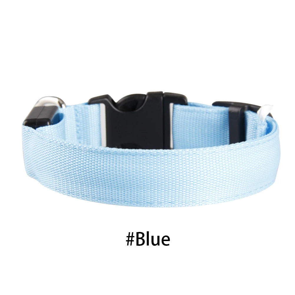 LED Glow Dog Collar — Anti-Lost Night Safety Collar for Small Dogs & Cats