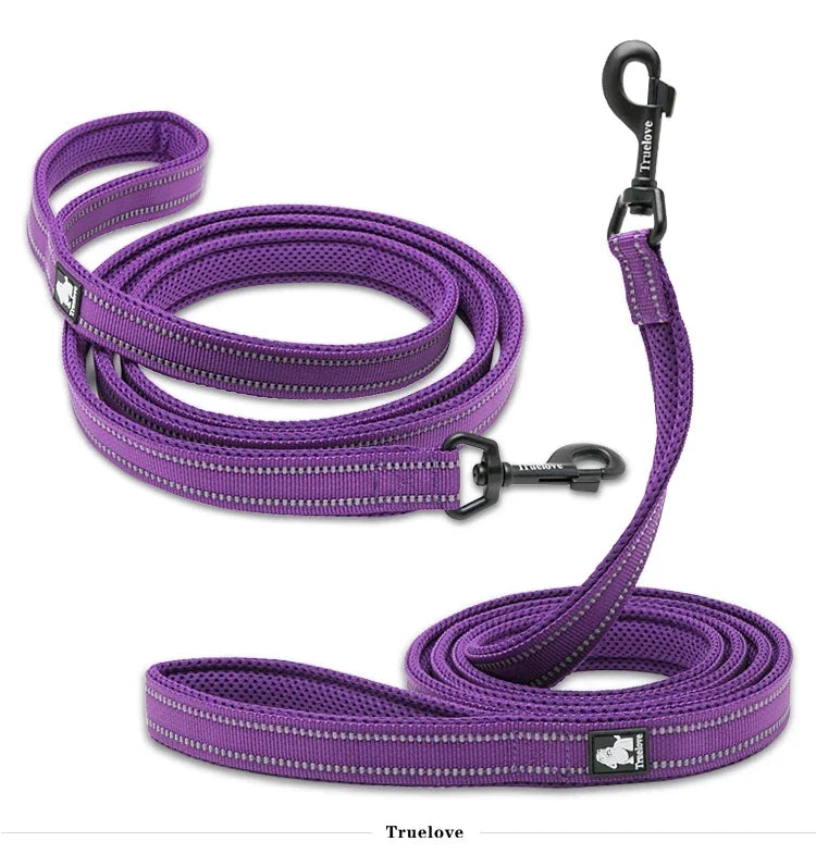 Reflective Dog Leash — Nylon Webbing with Zinc Alloy Hook for Small & Large Dogs