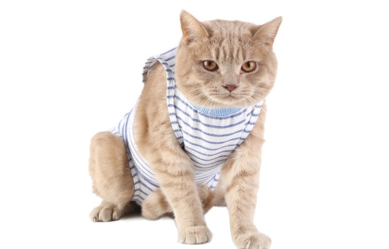 Weaning Clothes for Female Cats - Breathable & Thin