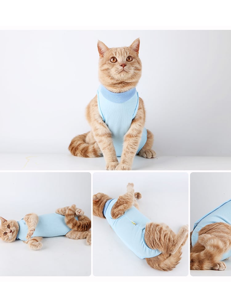 Weaning Clothes for Female Cats - Breathable & Thin
