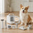 GroomPro 5-in-1 pet grooming vacuum kit with attachments and a dog